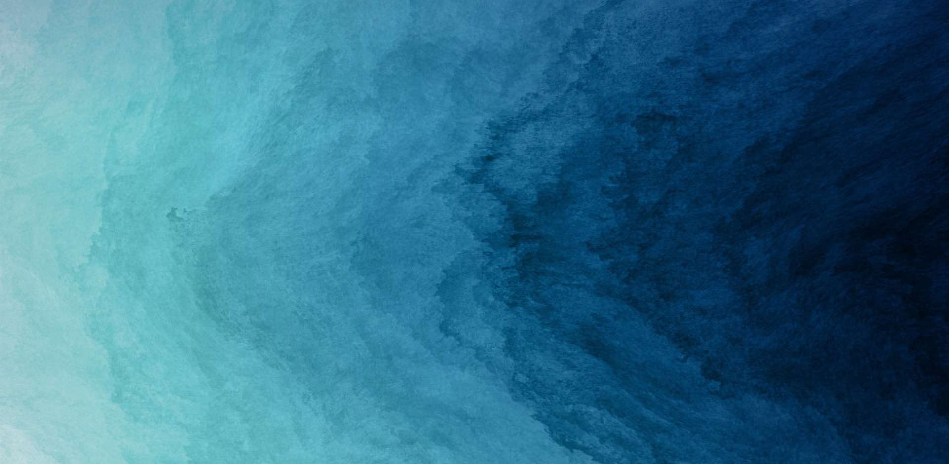 pc端banner.jpg