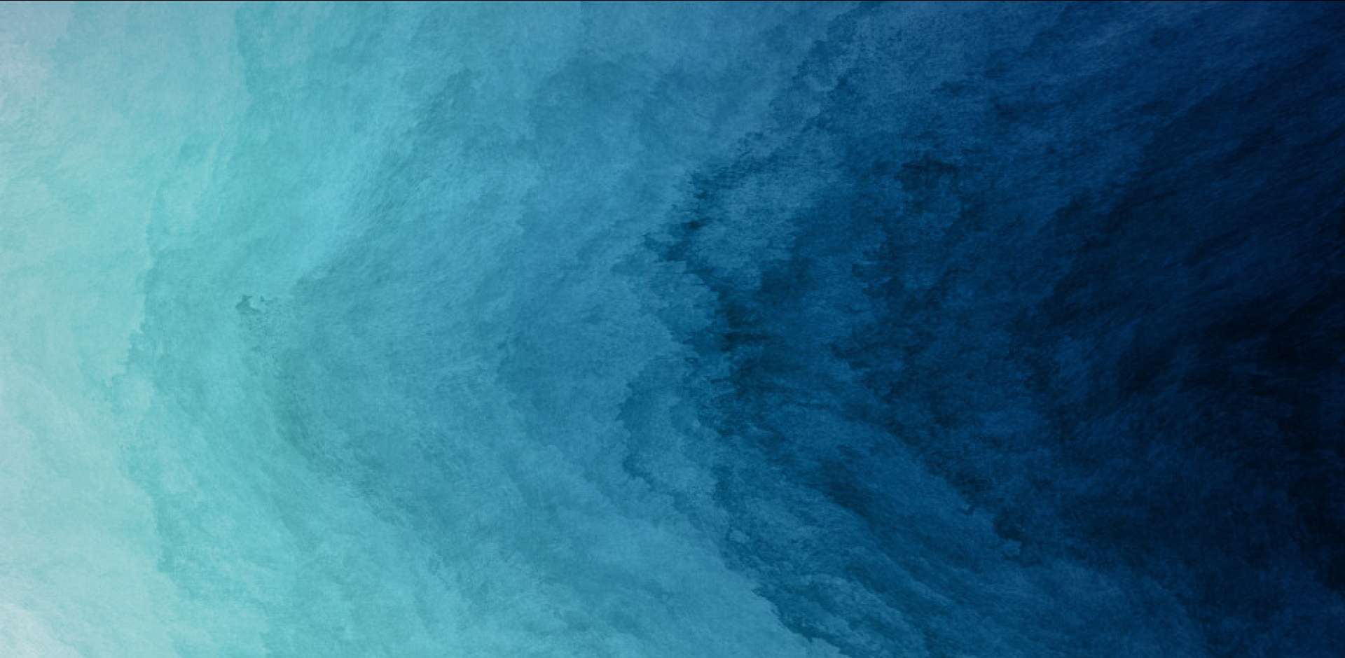 pc端banner.jpg